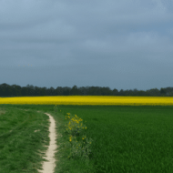 Engagement au sein du territoire
