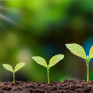 Politique environnementale